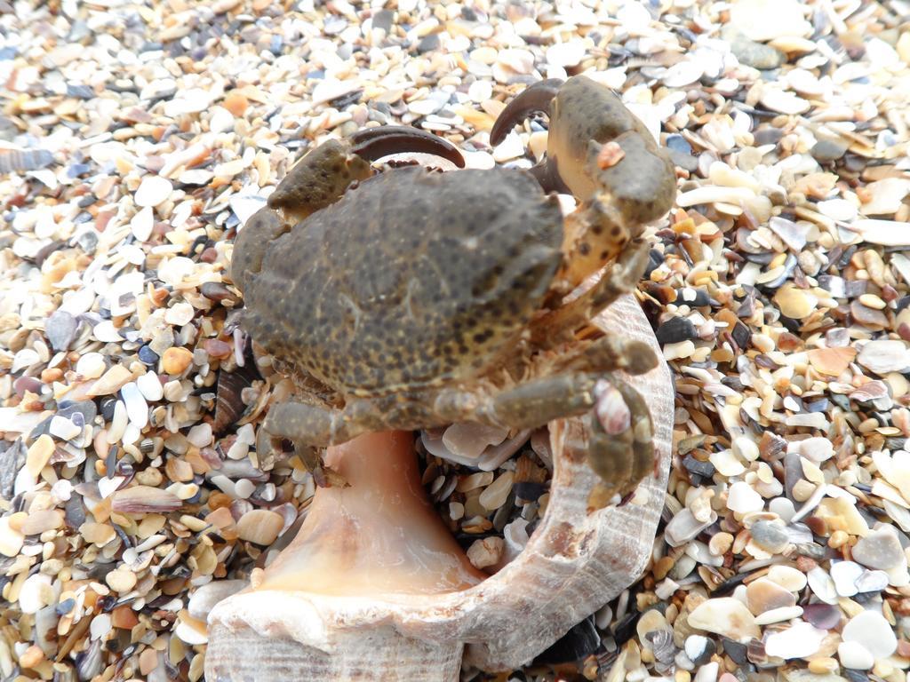 Vilele Brise De Mer Două Mai Екстериор снимка