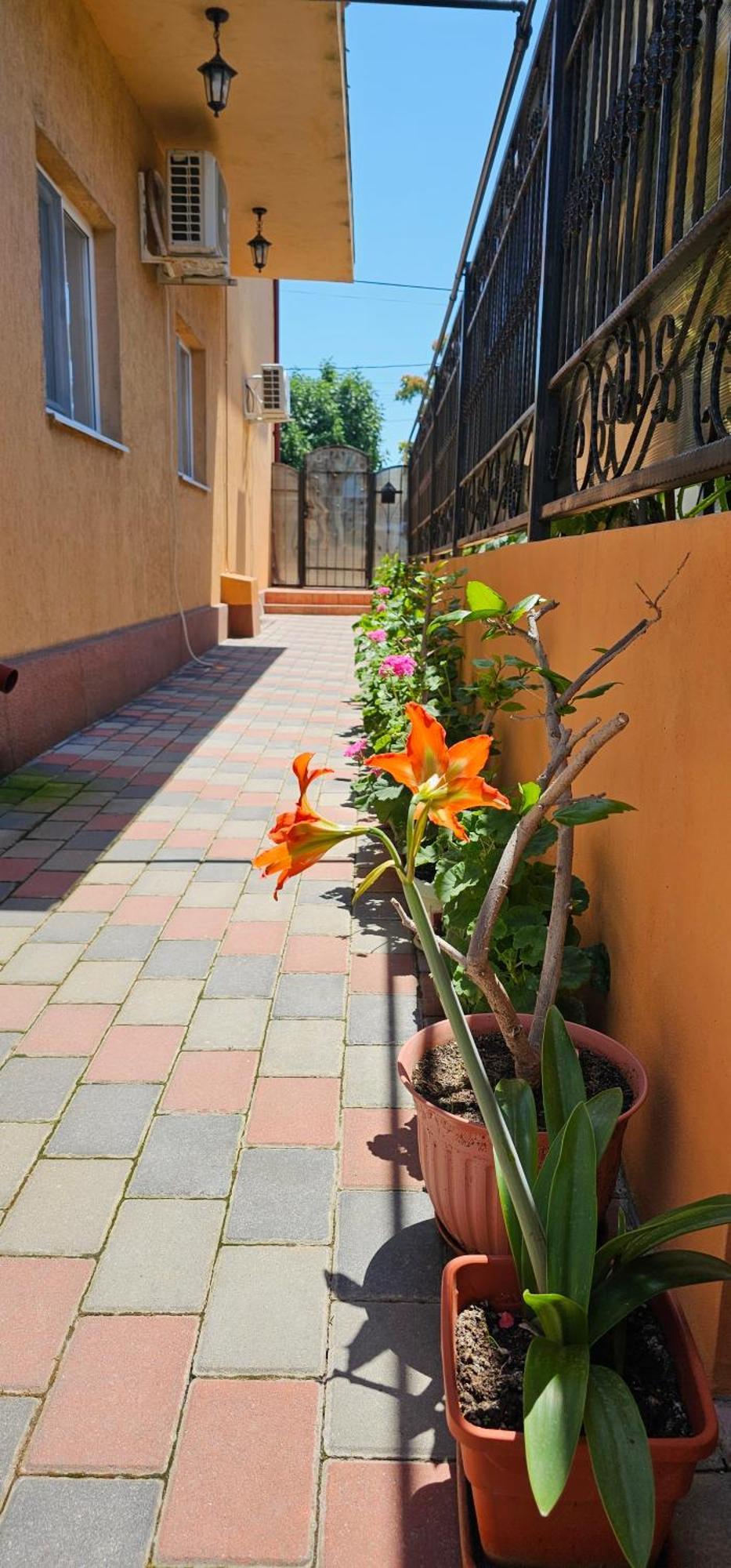 Vilele Brise De Mer Două Mai Екстериор снимка